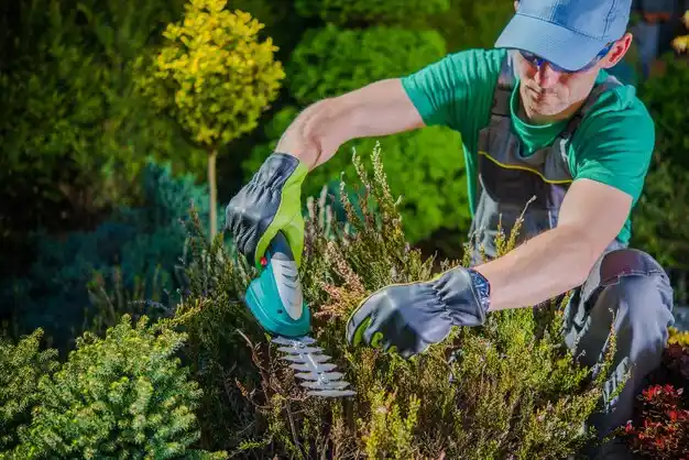 landscaping services Kettering